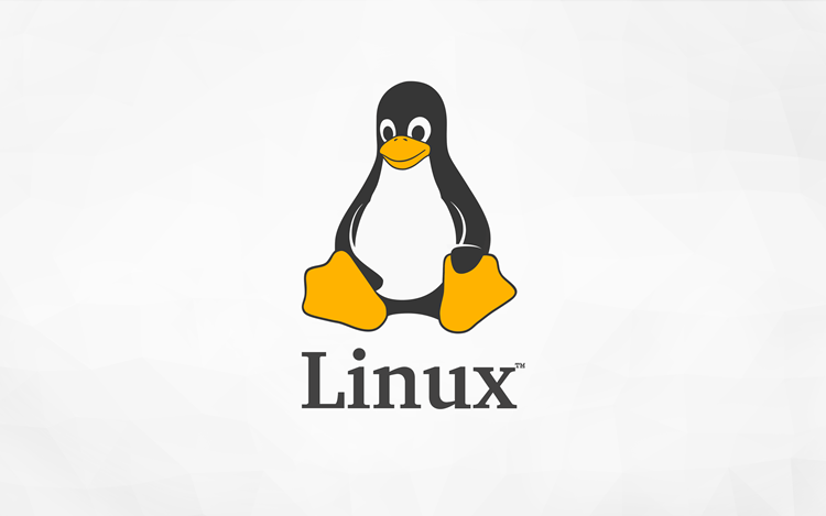 Procurando pastas e arquivos pesados no linux